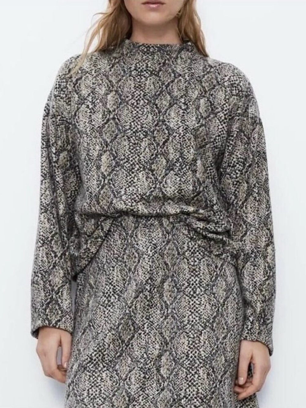 Zara Snake Print Mock Neck Cropped Pullover Sweater